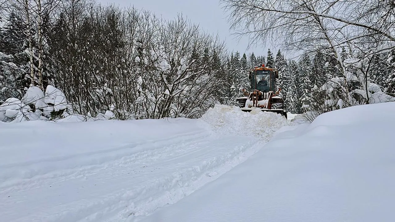 REGIONS/Кристина Тришина