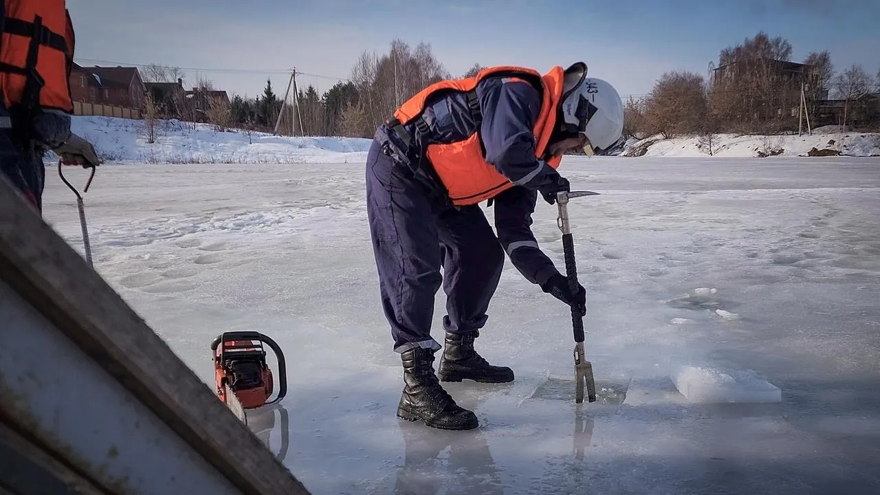 МедиаБанк Подмосковья/Ольга Антонова
