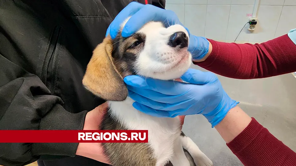 Фото: Валентина Максимова