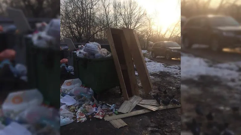 Житель Пушкино посчитал, что ему пока рано, и выкинул гроб на помойку