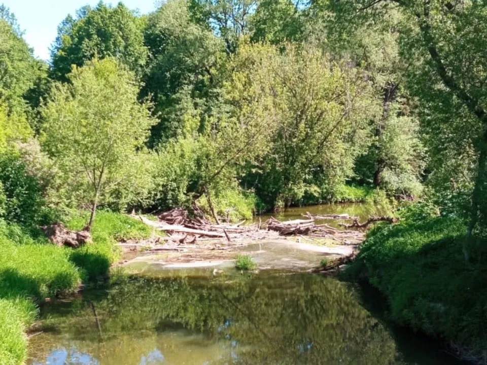 Фото: vk.com/Лотошино и лотошинцы