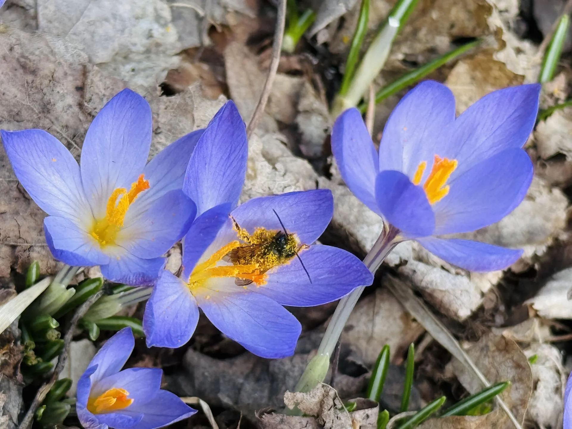 Фото: Ольга Стаферова