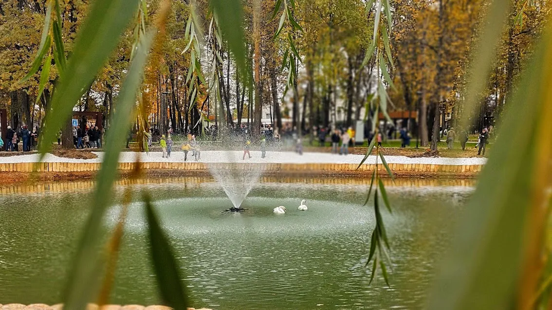 Фото: REGIONS/Алексей Селиверстов