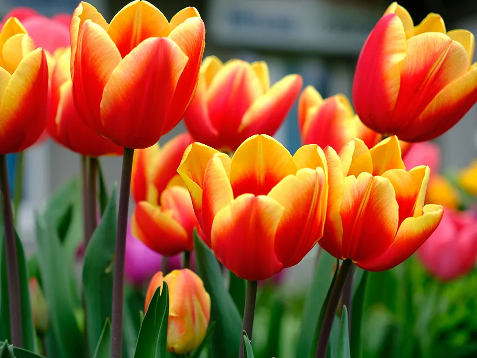 Фото: istockphoto.com