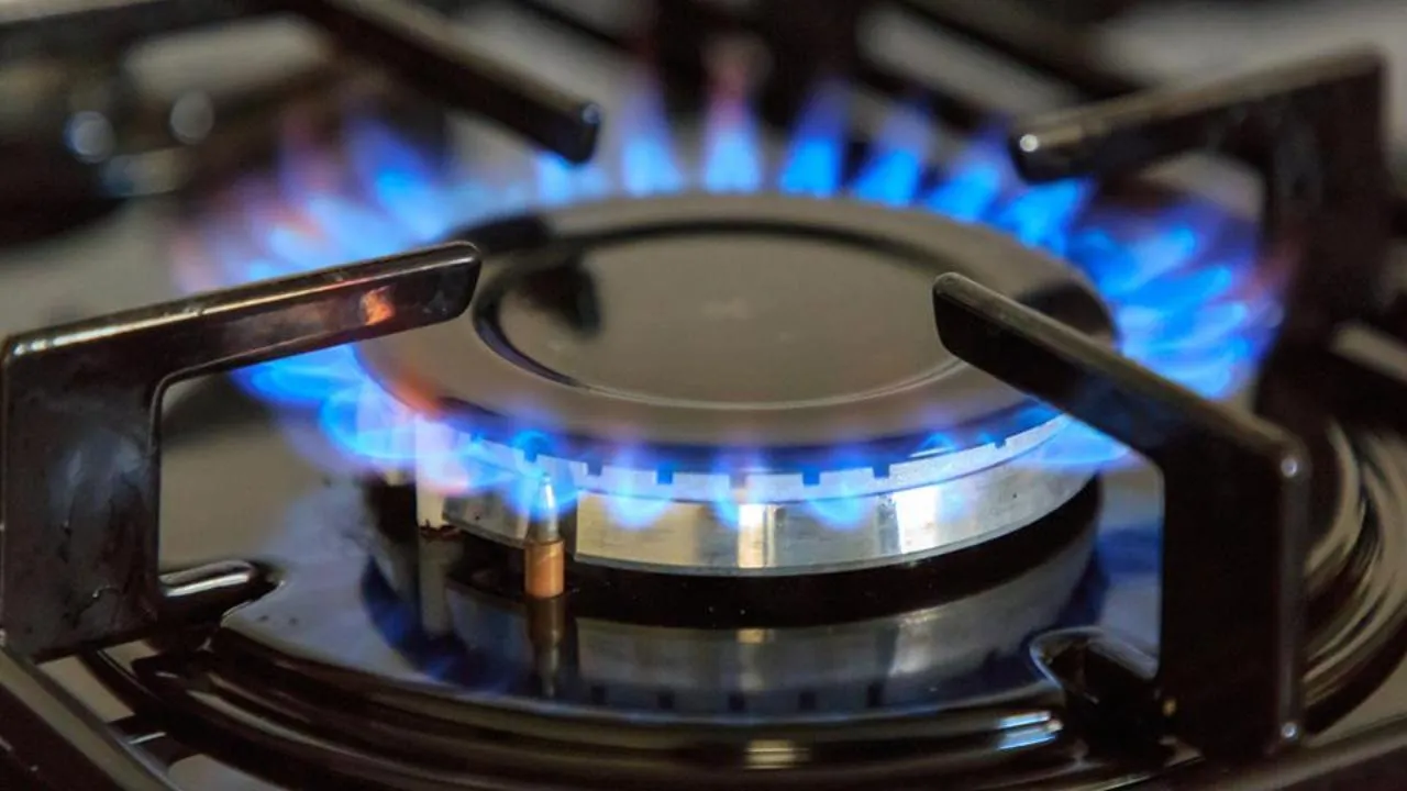 istockphoto.com/Richard-P-Long