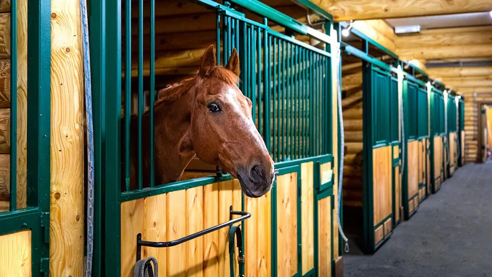 Фото: АО «Мособлгаз»