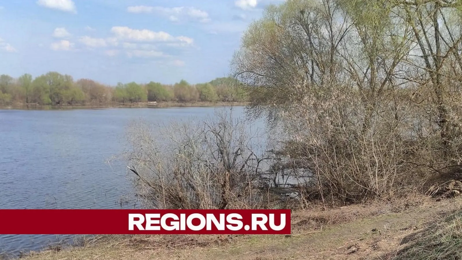 Фото пресс-службы администрации городского округа Луховицы