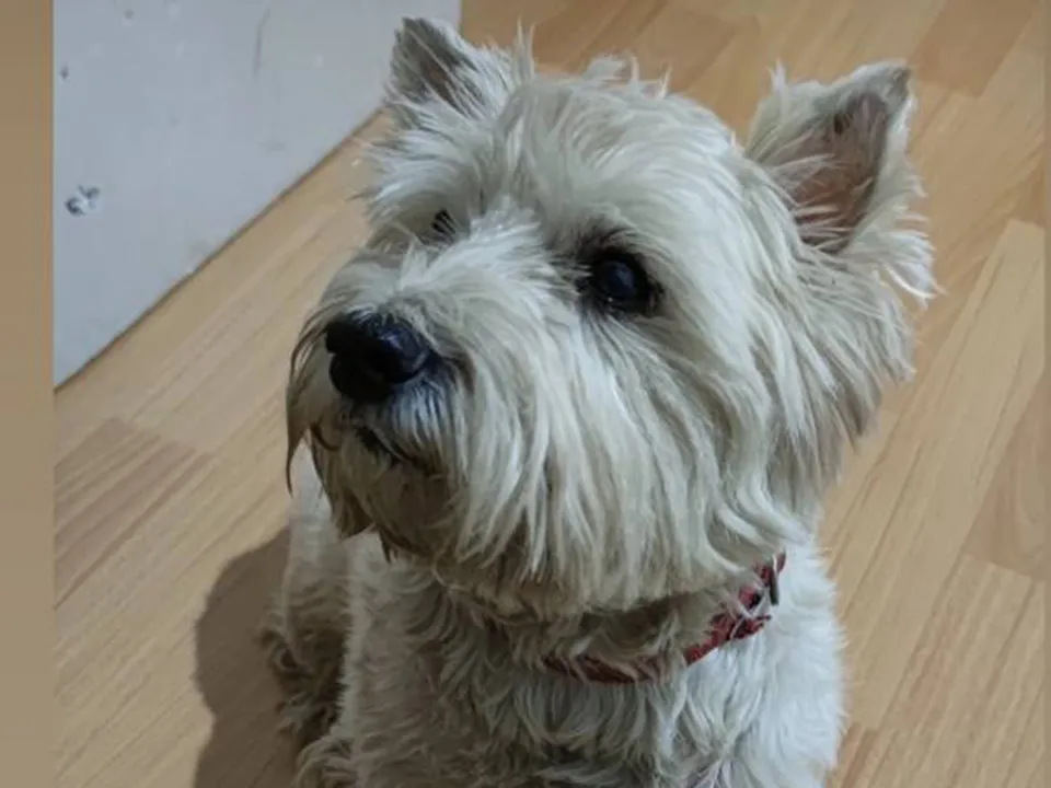 Фото: соцсети