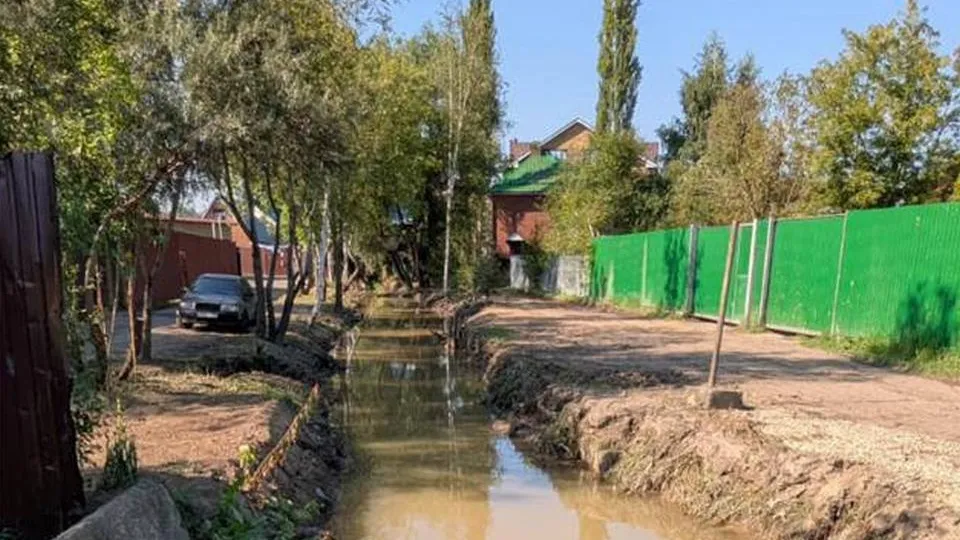 Фото: управление экологии г.о. Мытищи