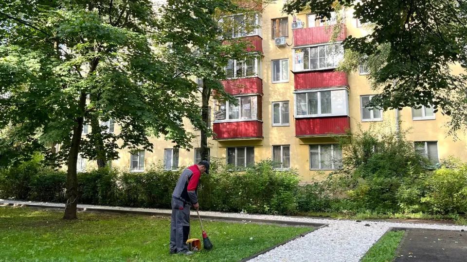 Фото: пресс-служба администрации г.о. Лобня