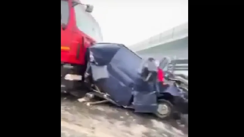 Фото: скрин с видео
Видео: "Подмосковье сегодня"