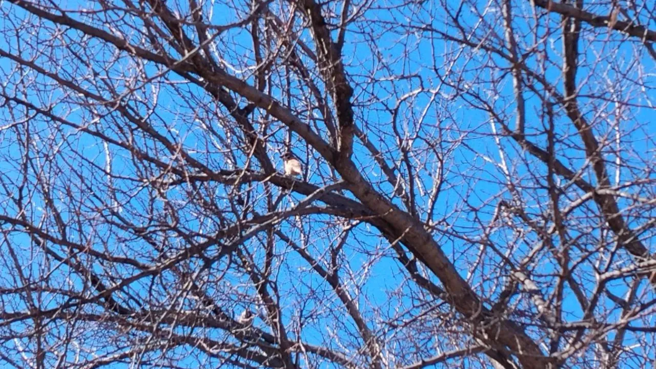 REGIONS/Юлия Куделькина