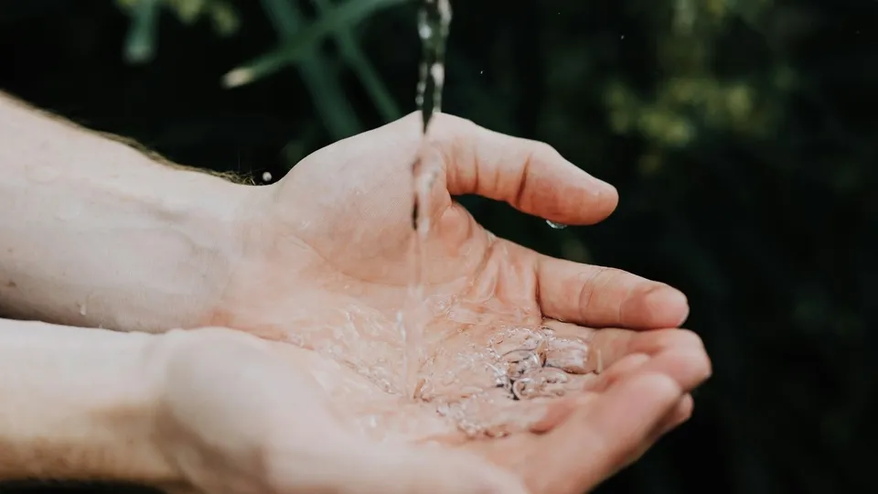 Фото: unsplash.com