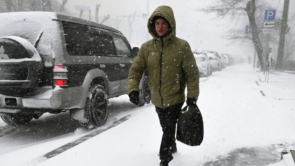 Фото: РИА Новости/Виталий Аньков