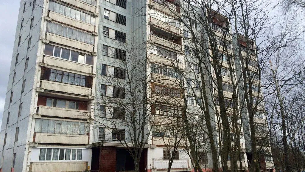 Фото: REGIONS/Хавива Фонина