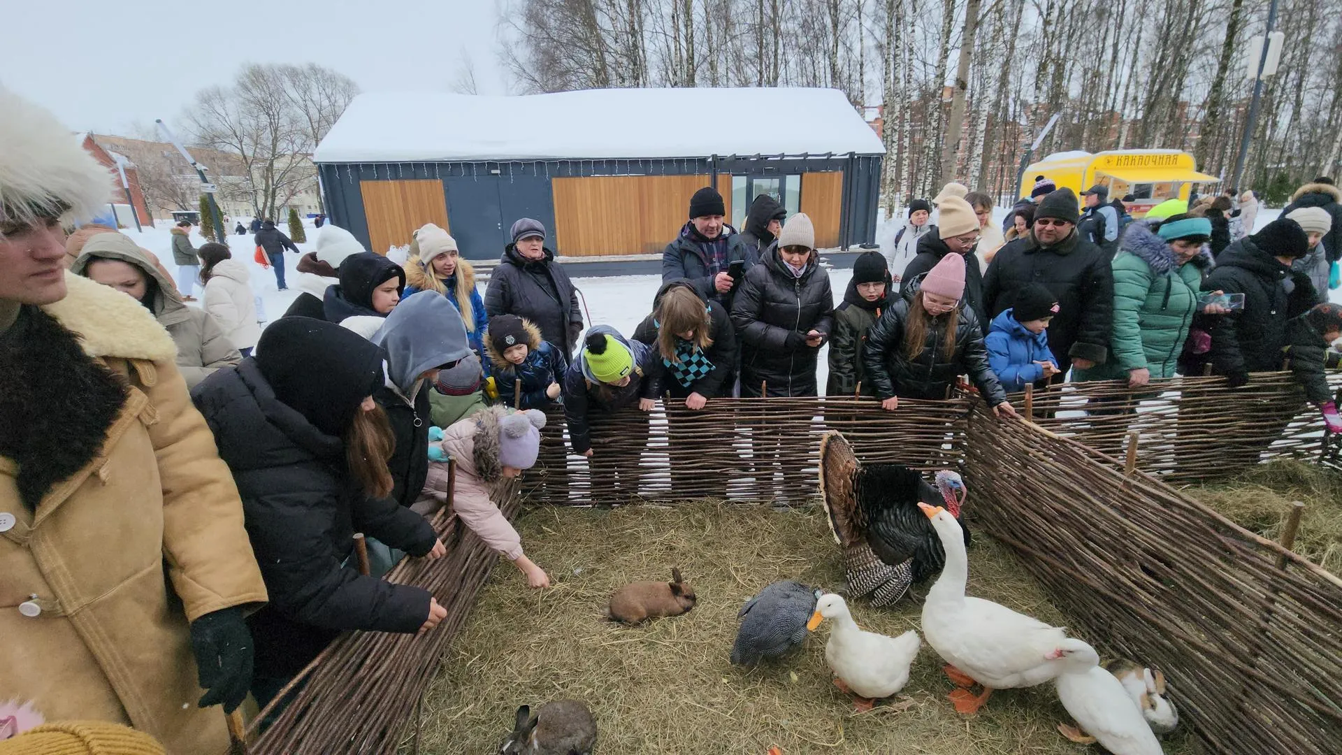 МедиаБанк Подмосковья/Юлия Смагринская