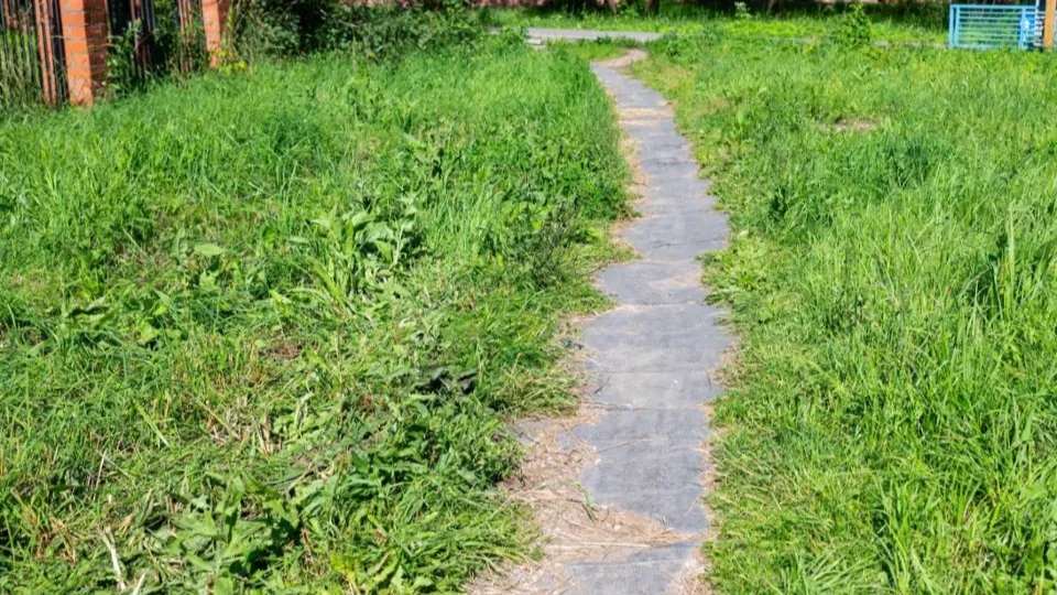 Фото: пресс-служба администрации г.о. Фрязино