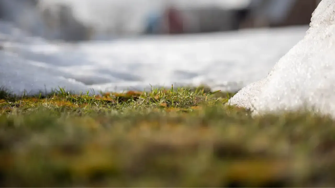 REGIONS/Владимир Ерастов