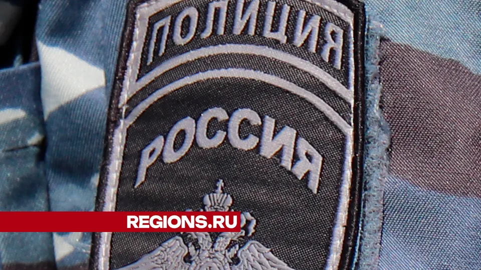 Фото: REGIONS/Василий Тремасов