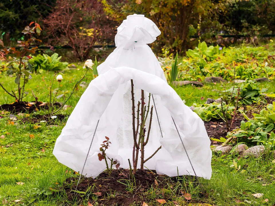 Фото: istockphoto.com/Ludmila Kapustkina&nbsp;