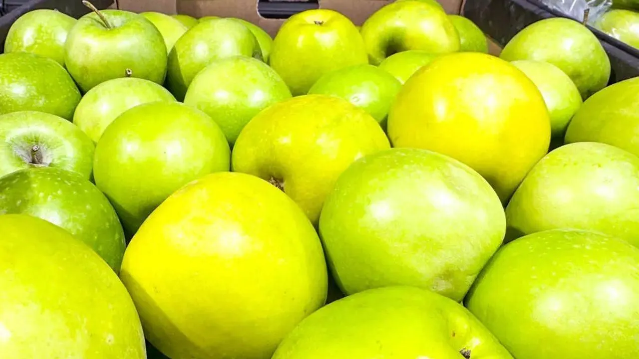 REGIONS/Владимир Ерастов