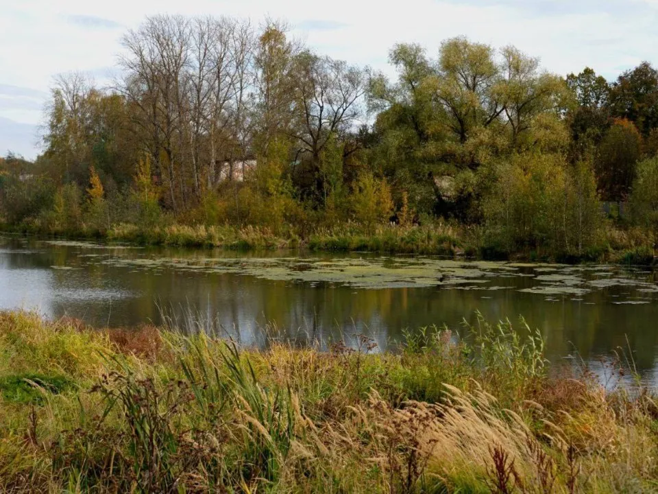 Фото: t.me/sapakhomovGD/6088