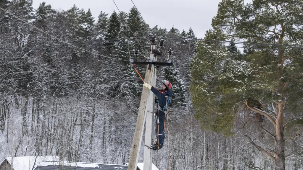 Фото: медиасток.рф