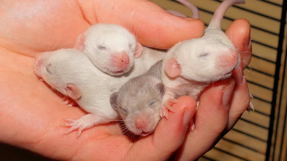 Фото: istockphoto.com