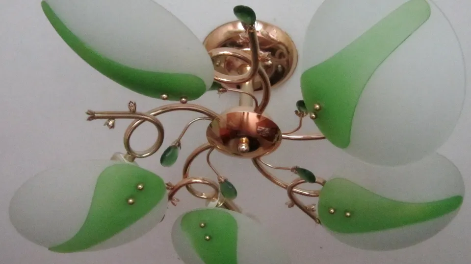 Фото: REGIONS/Олег Книжник