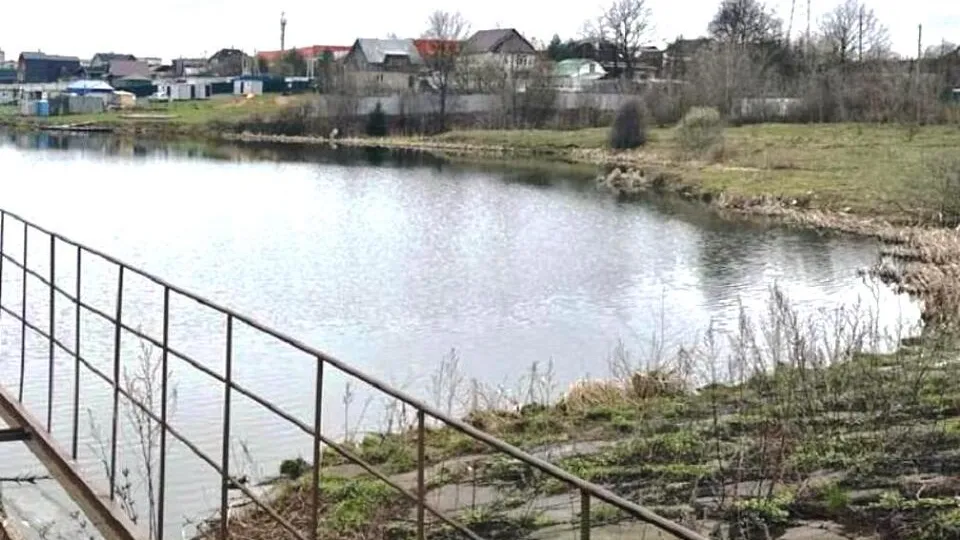 Фото: пресс-служба Министерства экологии и природопользования Московской области