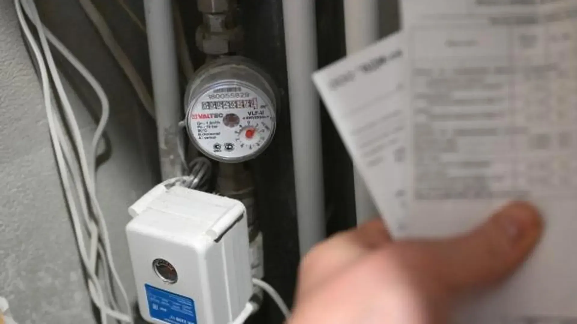 Фото: РИА Новости