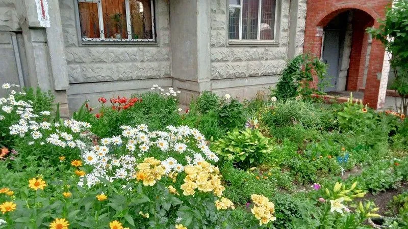 Более 200 подмосковных дворов примут участие во всероссийском конкурсе