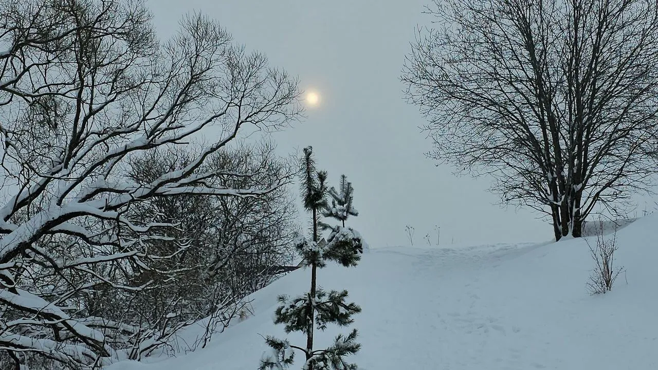 REGIONS/Александр Дрожжин