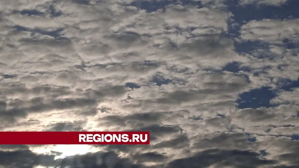 Фото: REGIONS/Юлия Куделькина