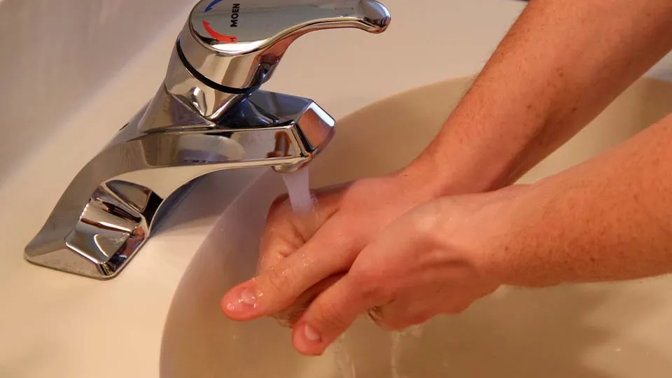 Фото: pxhere.com