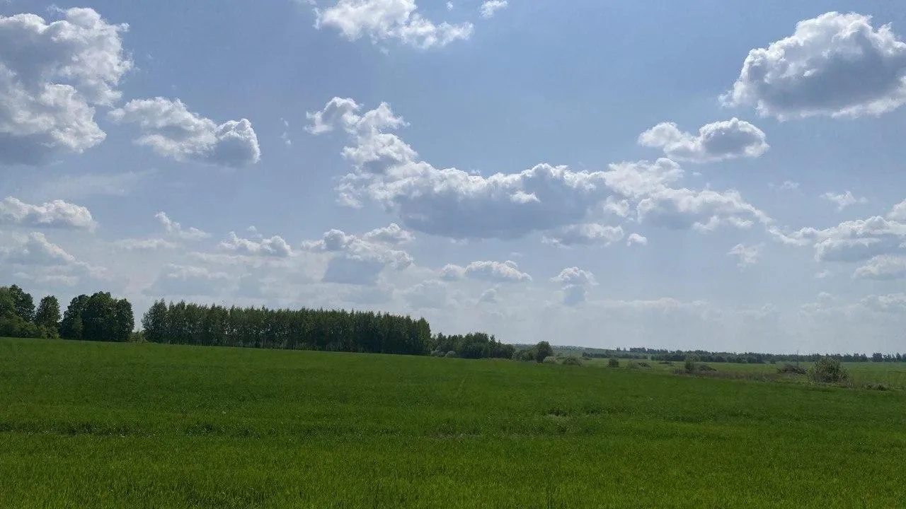 По программе «Подмосковные 10 гектаров» сельхозпроизводителям передали 1,1 тысячи га земли