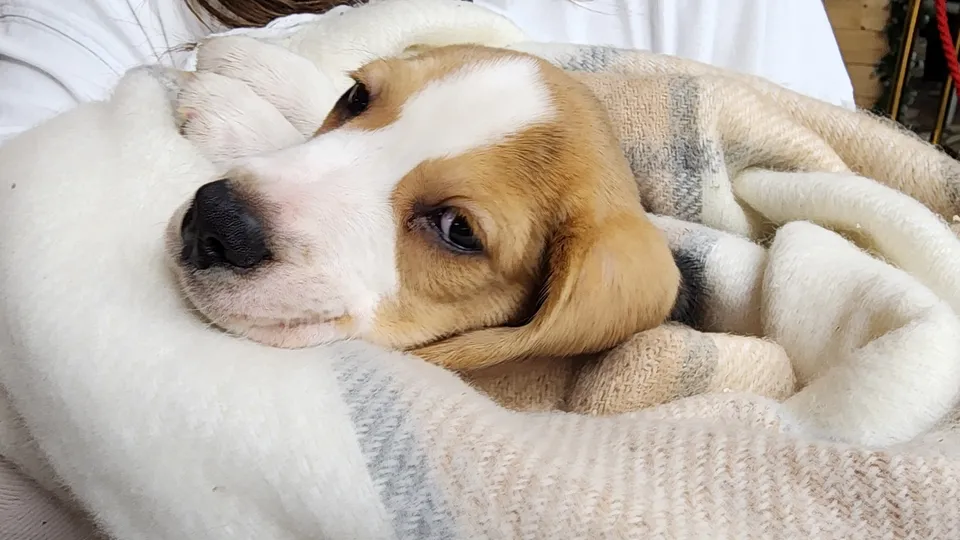 Фото: МедиаБанк Подмосковья/Мария Юдина