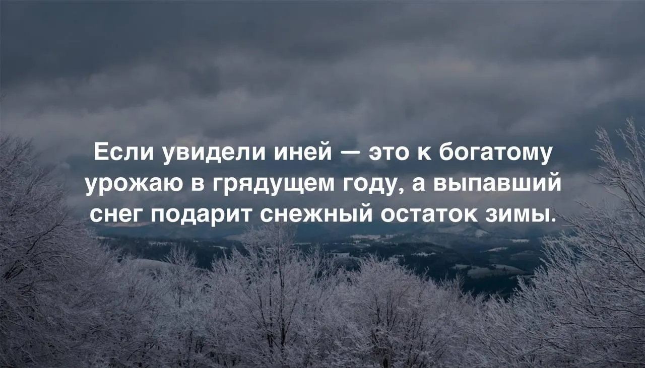 Коллаж: Unsplash