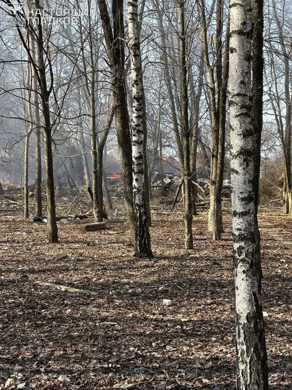 губернатор Белгородской области Вячеслав Гладков