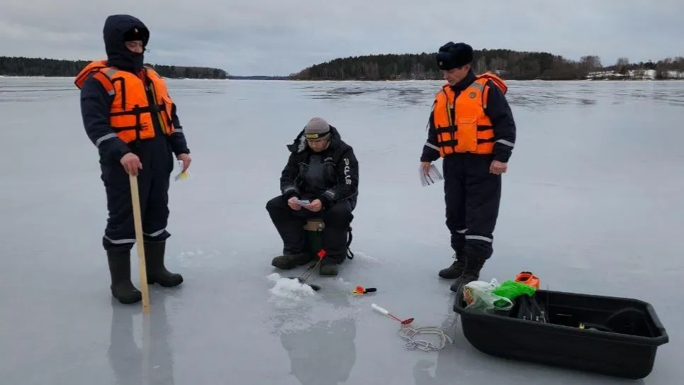 Фото: ГКУ МО «Мособлпожспас»