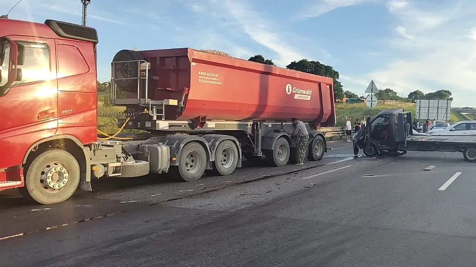 Фото: Управление МВД РФ по Московской области