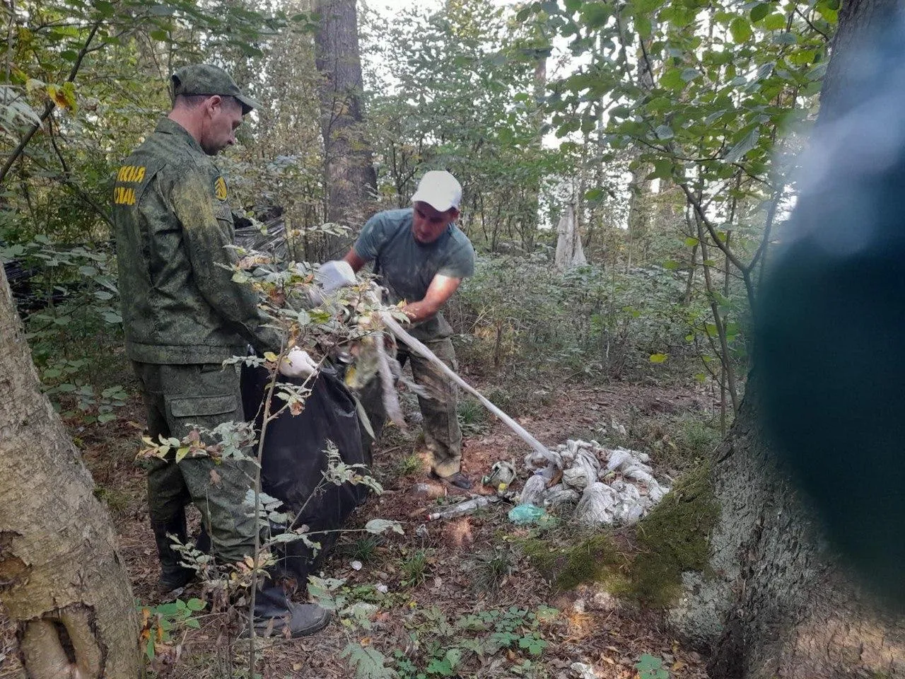 Фото: Комитет лесного хозяйства Московской области