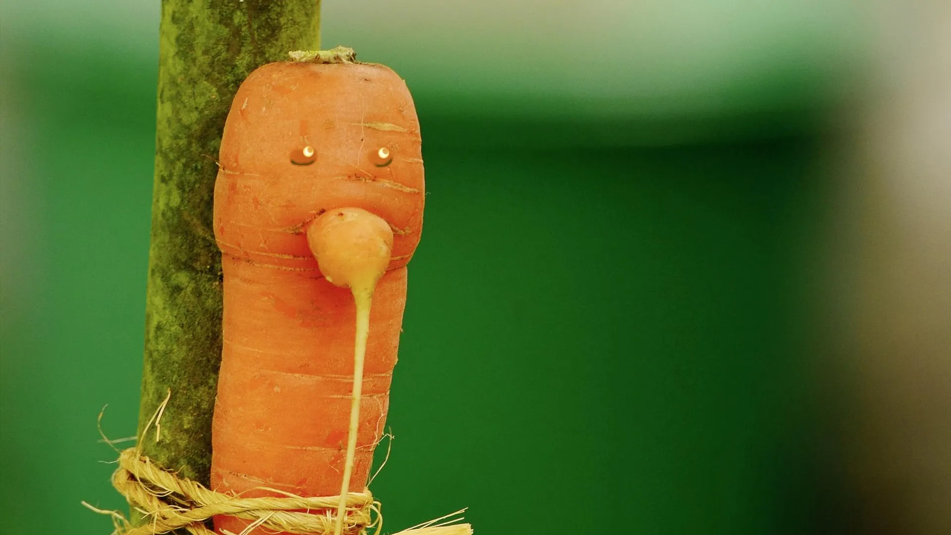 Фото: pxhere.com