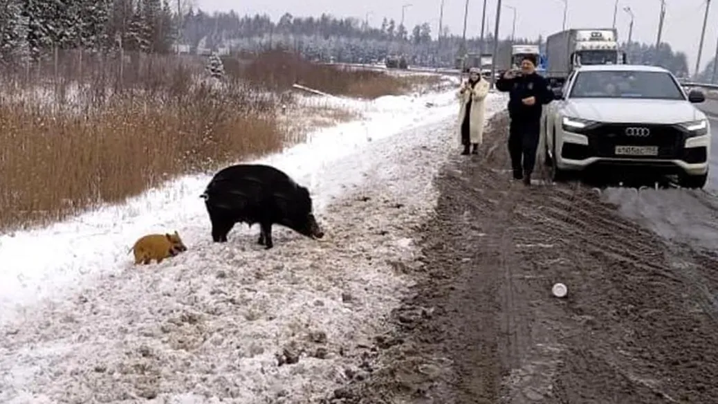 фото: innoginsk.ru