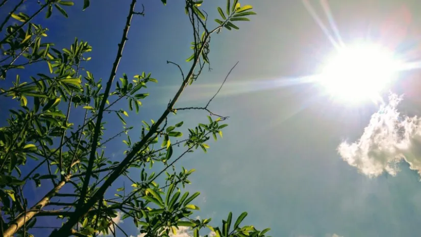 Фото: freepik.com