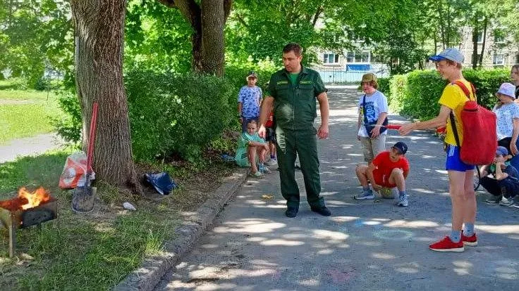 Фото: Комитет лесного хозяйства МО