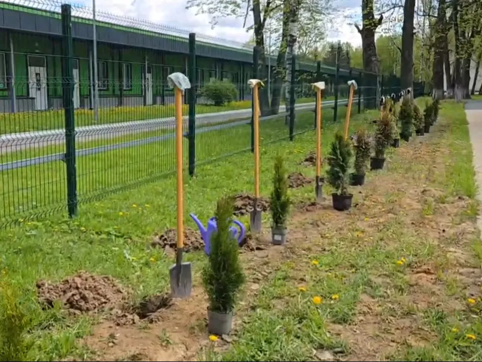 Фото: Елена Аботурова