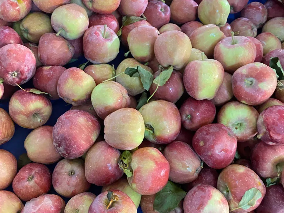 Фото: Наталья Волкова