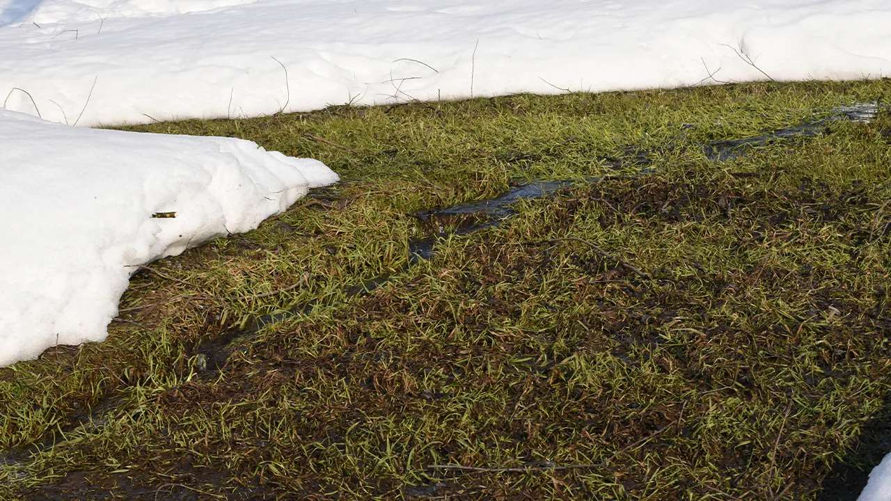 REGIONS/Евгений Мазепов