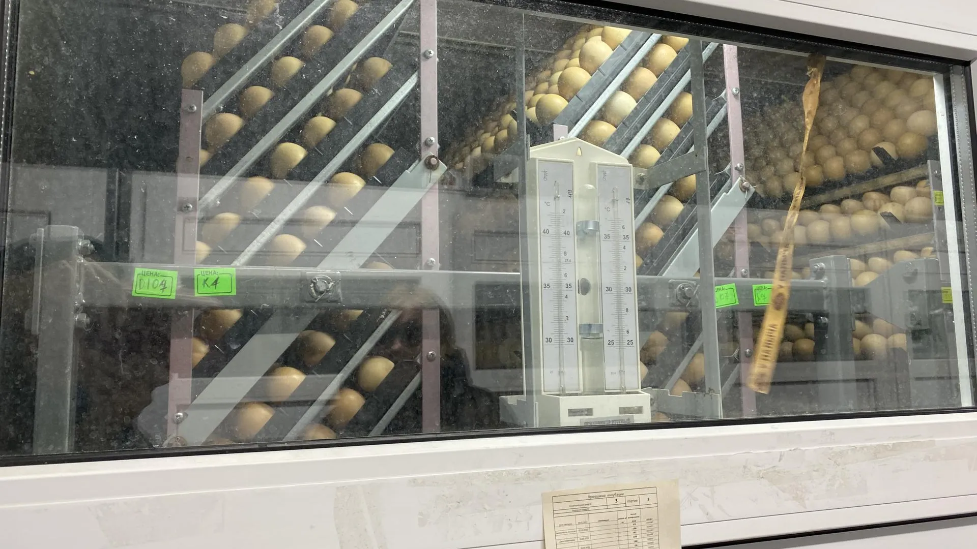 фото: Мария Варшавер